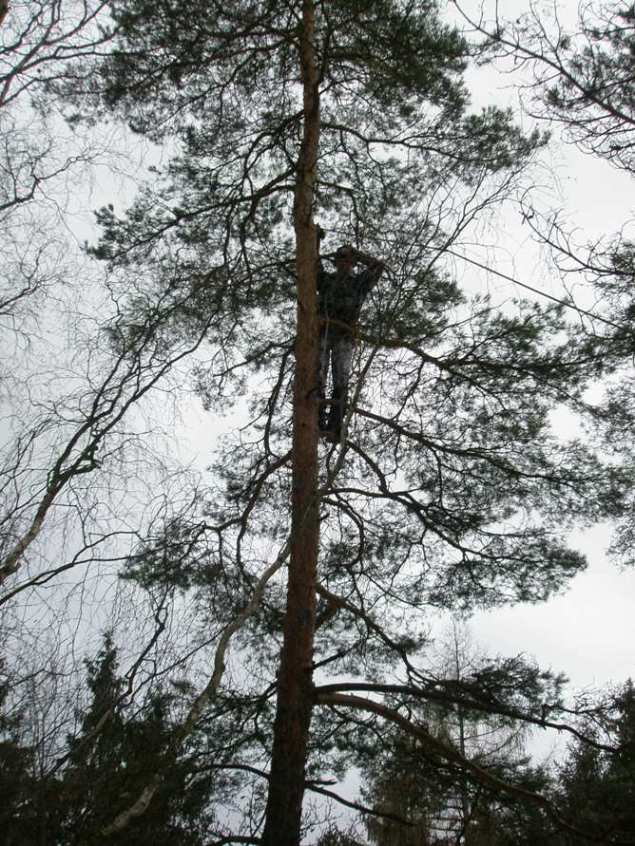 Michal na stromě by Šimon